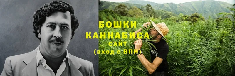 Конопля план  Кадников 